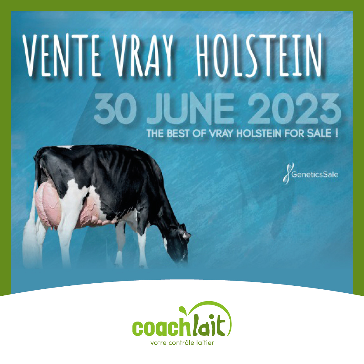 Coachlait présent à la vente VRAY HOLSTEIN ce vendredi 30 juin