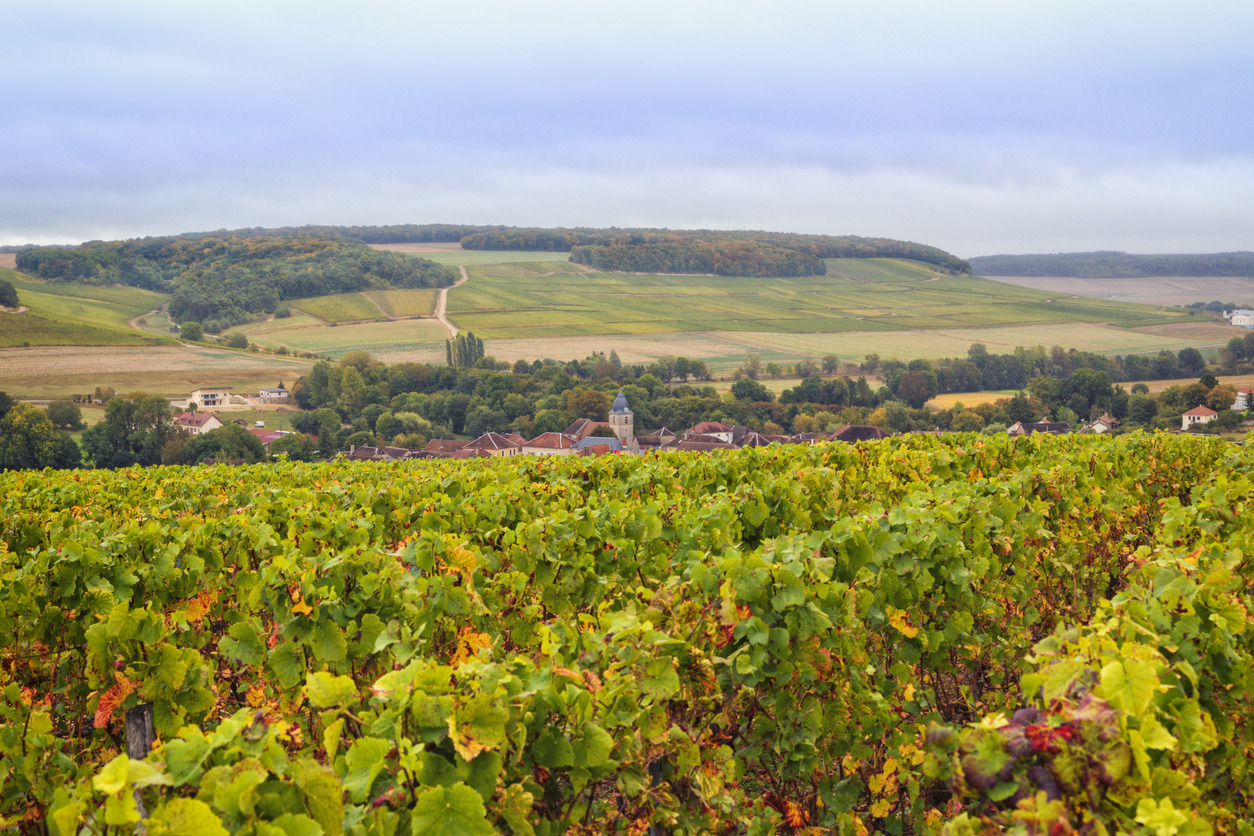 contrôleur laitier en Région Grand-Est