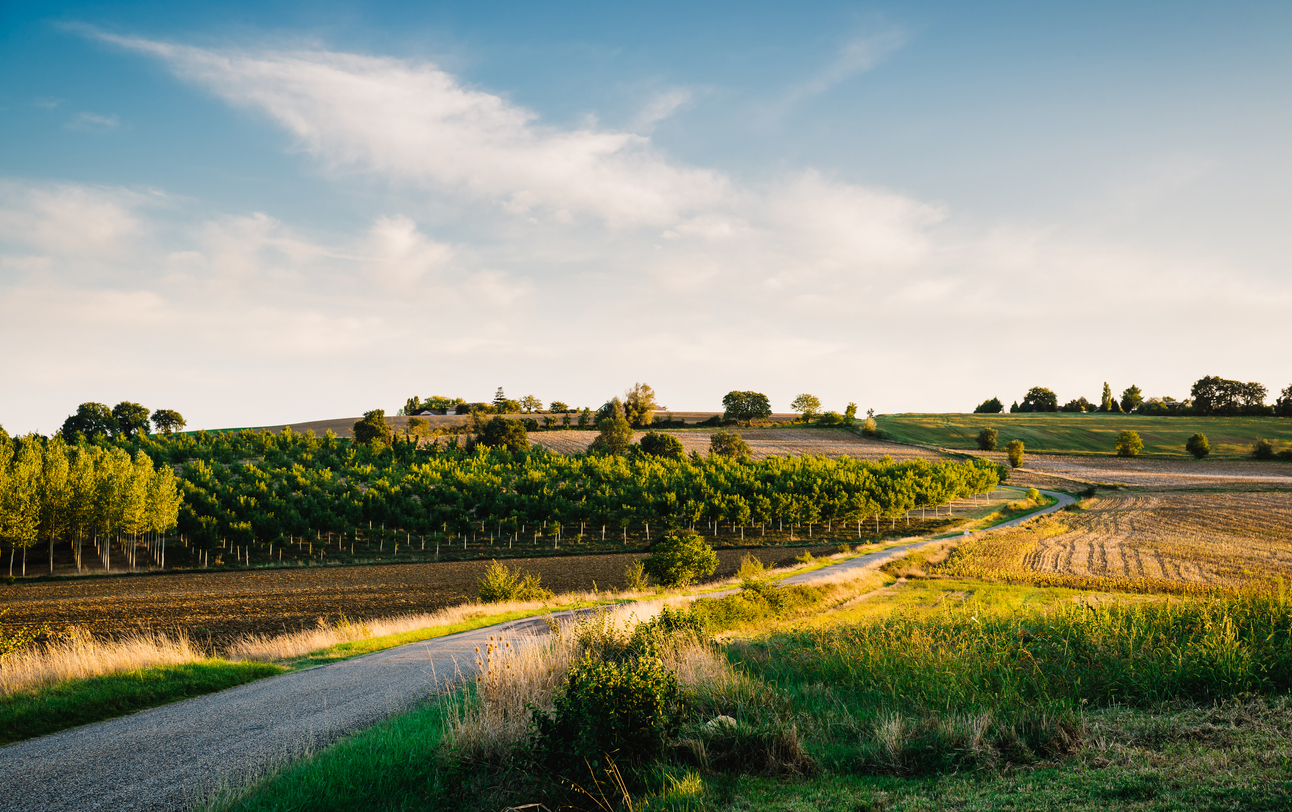Occitanie
