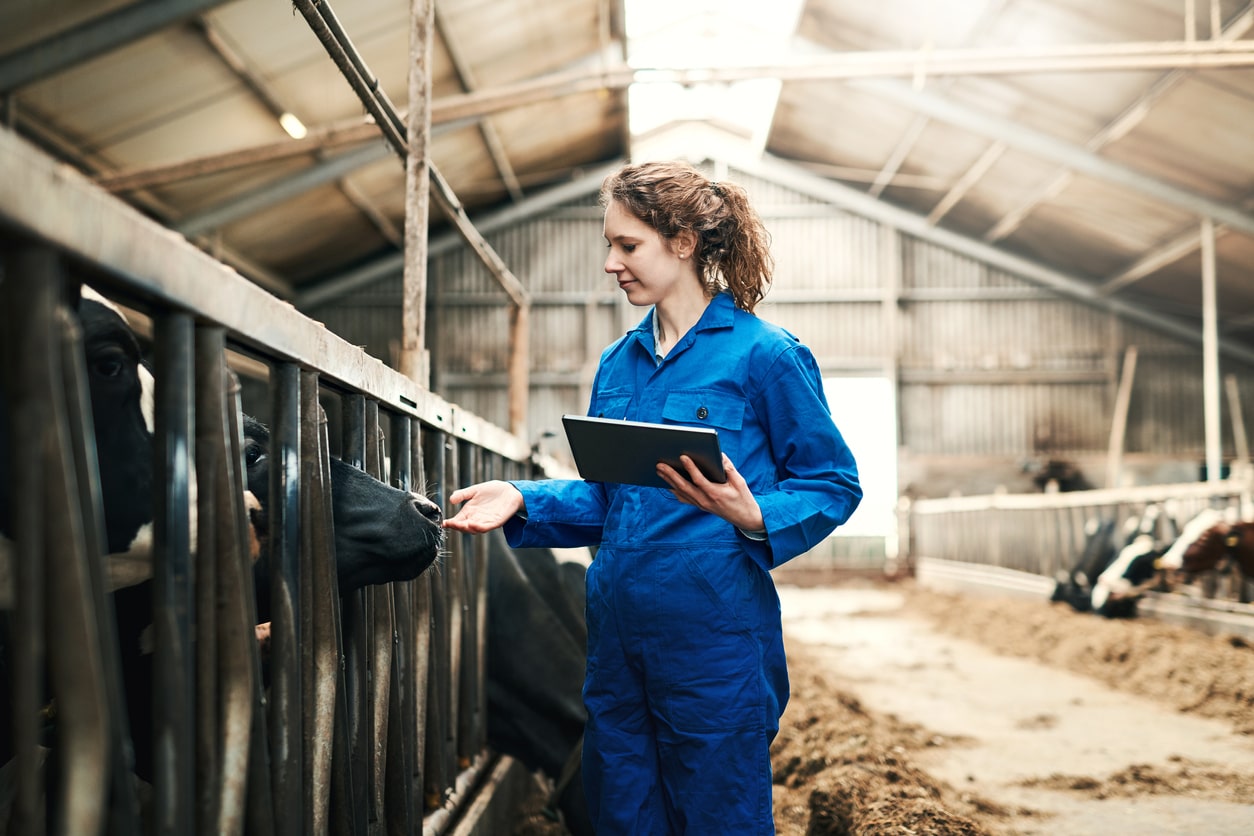 Pourquoi passer par un logiciel de gestion de troupeaux pour votre élevage laitier ? 